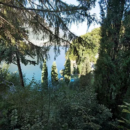 La Cava Bilocale 1b * Pognana Lario